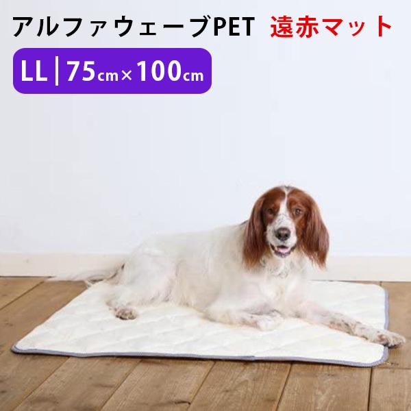 [圧倒的人気 ] MR3MZA8Q1T6 (MR3MZA8Q1T6)