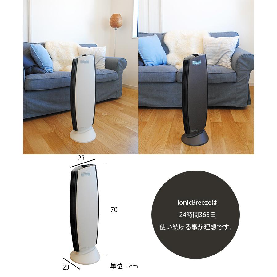 動画あり/Ionic Breeze GRANDE イオニックブリーズ グランデ