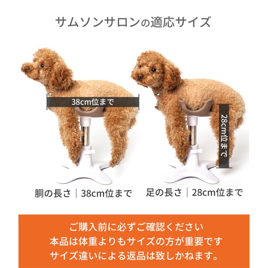 正規販売店 新 Samson salon サムソン・サロン 専用クッションセット