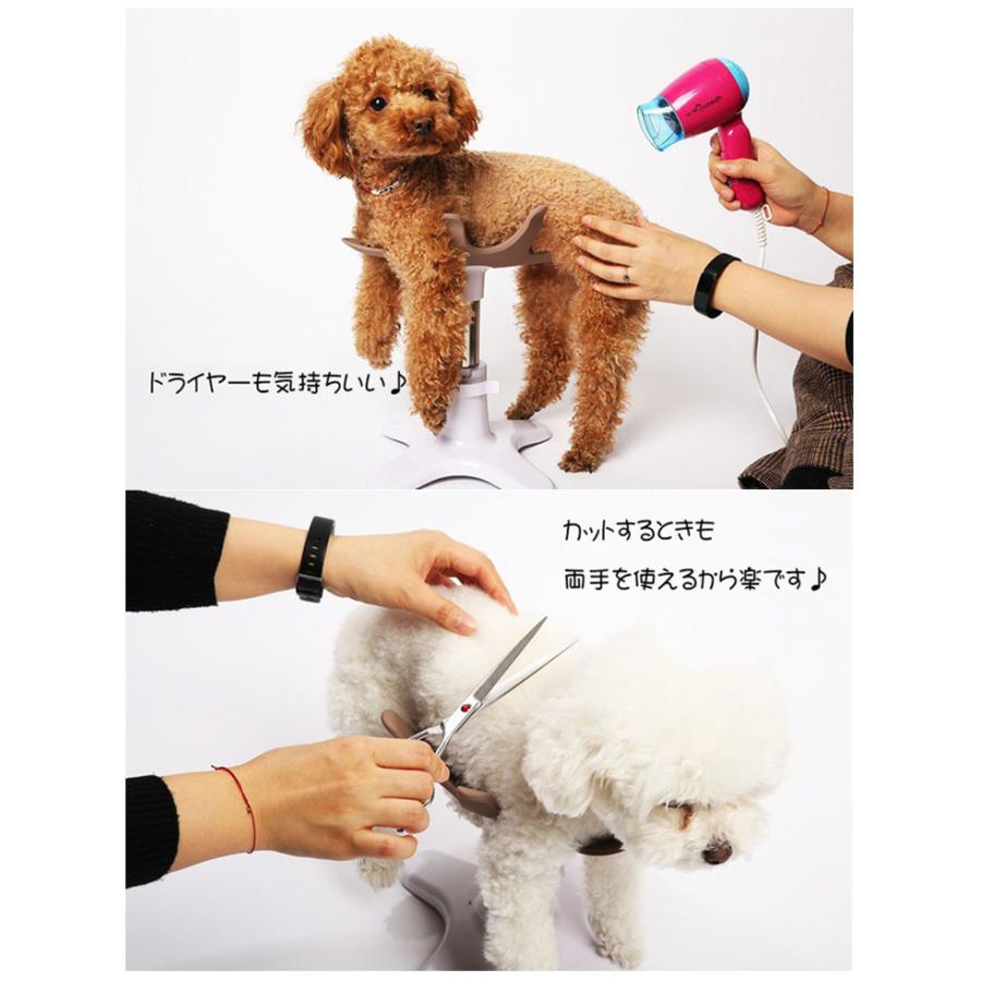 正規販売店 新 Samson salon サムソン・サロン 専用クッションセット
