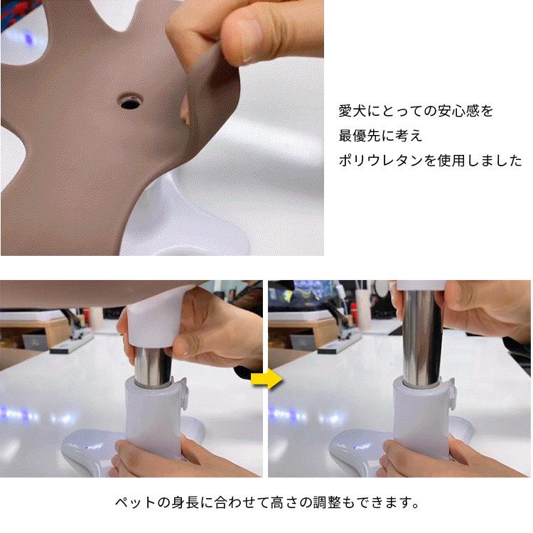 正規販売店 新 Samson salon サムソン・サロン 専用クッションセット