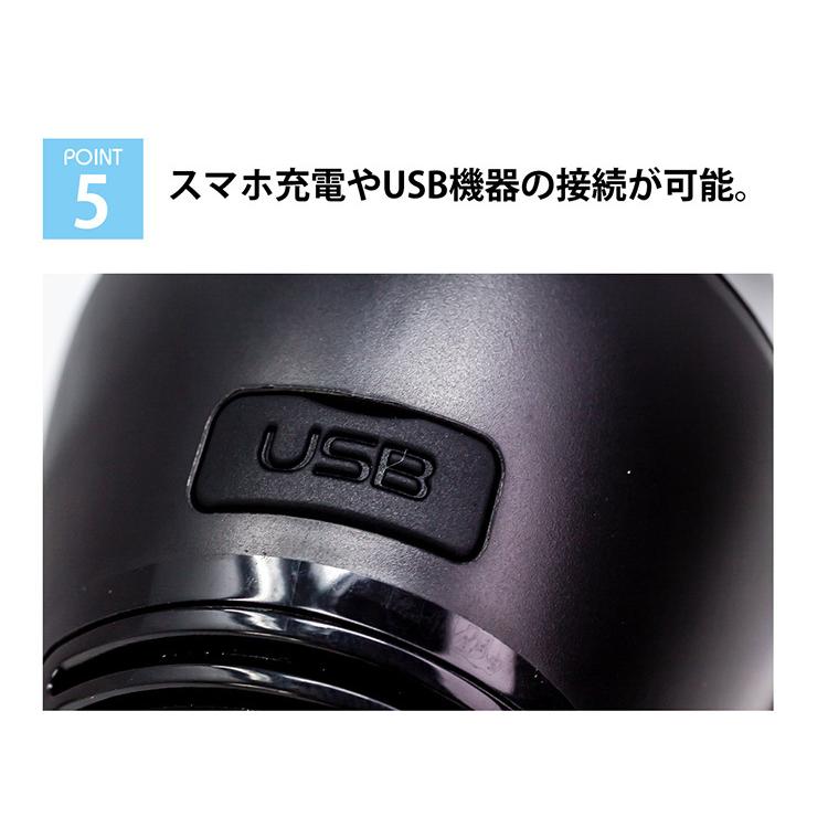 AFL CAR SANIFIER 車用 空気清浄機 小型 NASA技術採用