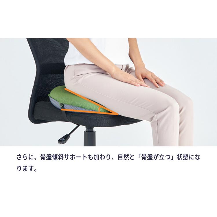 骨盤ゆらゆら体操 プレミアム・エディション バランスボード ストレッチ 健康器具 ゆらゆらボード 龍野コルク工業
