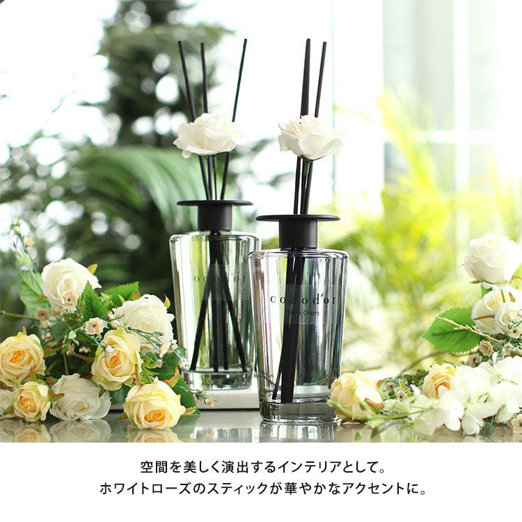 選べる2個セット ココドール ブラックエディション リード