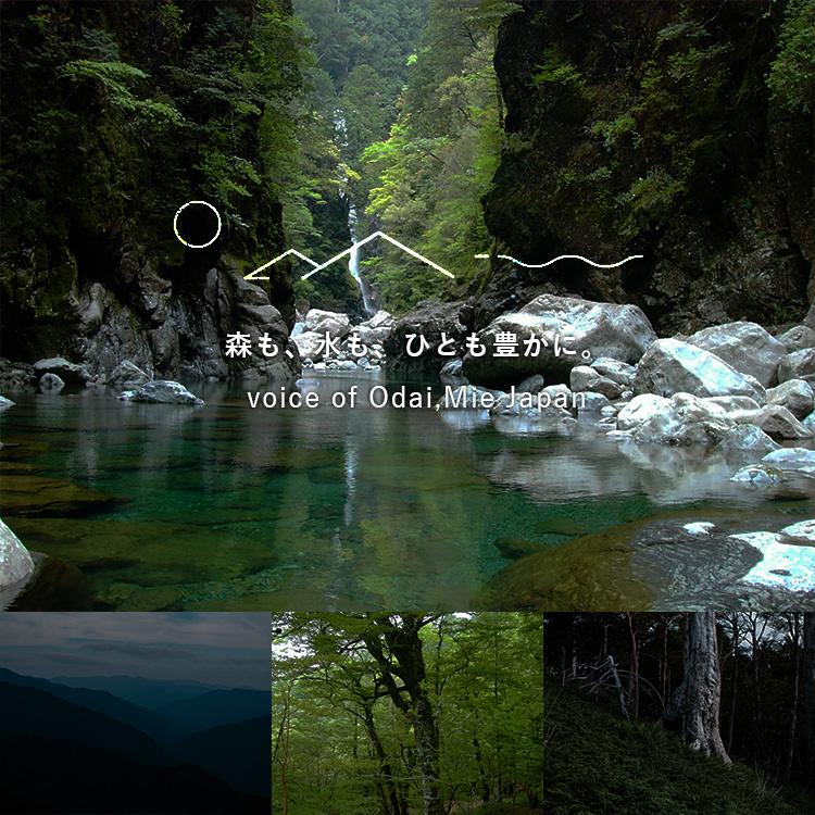 odai オオダイ リードディフューザー 詰替用 300mL (微香/森林の香り