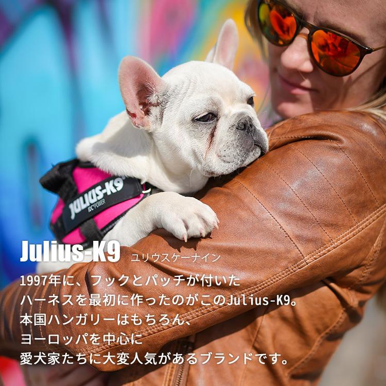 Julius-K9 ユリウスケーナイン IDCパワーハーネス Baby2（2XS/小型犬用） ユリウスk9 犬用ハーネス（AMNT）/メール便無料｜flaner-y｜04