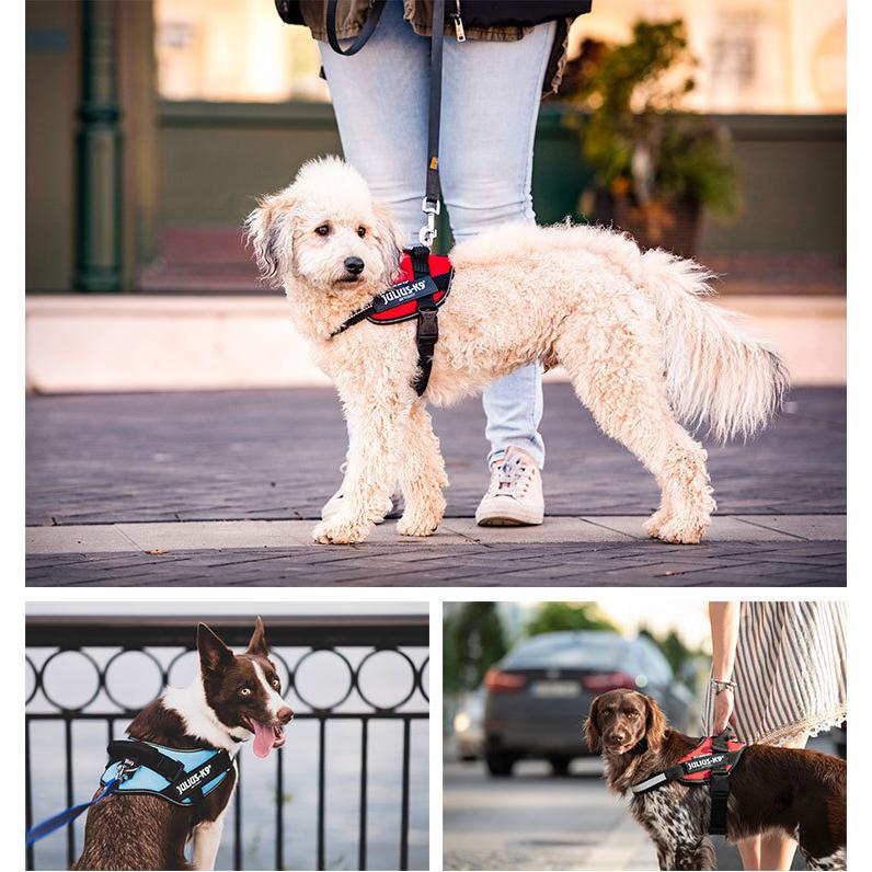 Julius-K9 ユリウスケーナイン IDCパワーハーネス Baby2 （2XS/小型犬