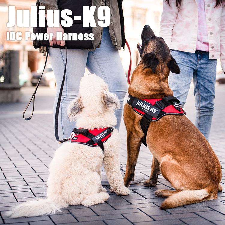 Julius-K9 ユリウスケーナイン IDCパワーハーネス SIZE0 （M/中・大型