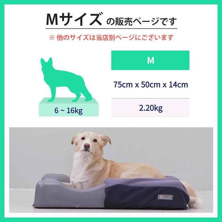 正規販売店　ジェントルリーマペットベッド　Mサイズ（体重6〜16kg／小型犬・中型犬・猫）　丸洗い　防臭　3D（EURE）／海外×／メーカー直送 Mサイズ