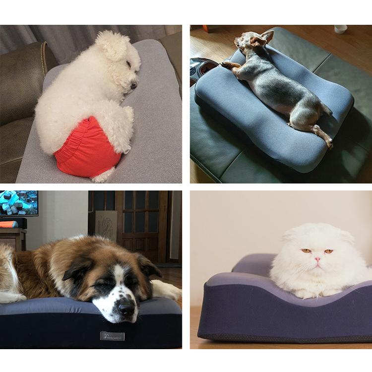 正規販売店　ジェントルリーマペットベッド　Mサイズ（体重6〜16kg／小型犬・中型犬・猫）　丸洗い　防臭　3D（EURE）／海外×／メーカー直送 Mサイズ