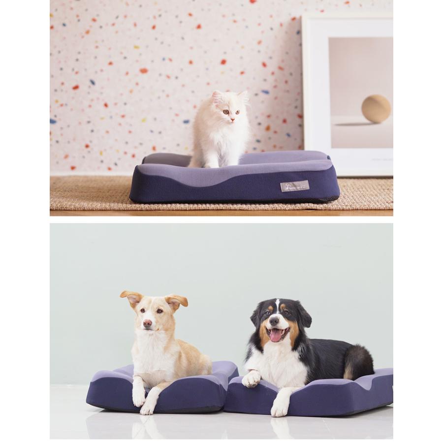 正規販売店　ジェントルリーマペットベッド　Mサイズ（体重6〜16kg／小型犬・中型犬・猫）　丸洗い　防臭　3D（EURE）／海外×／メーカー直送 Mサイズ