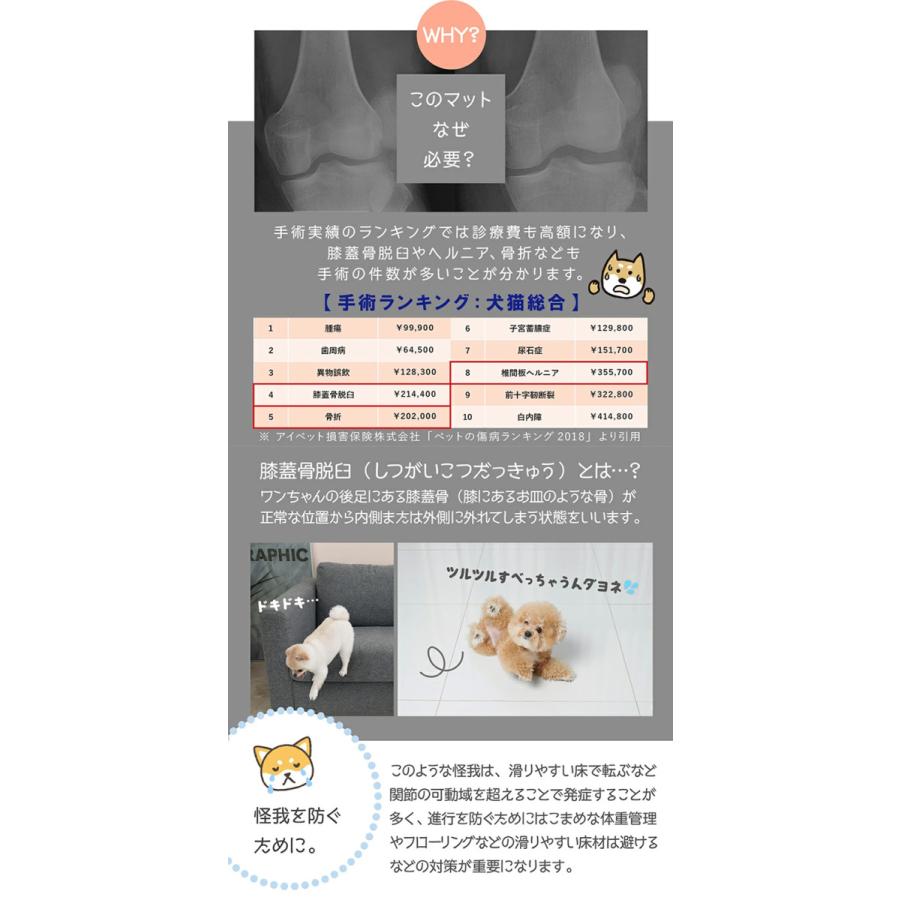 完全防水PVCペットマット 140×180cm ecf02 Dogzari Flat