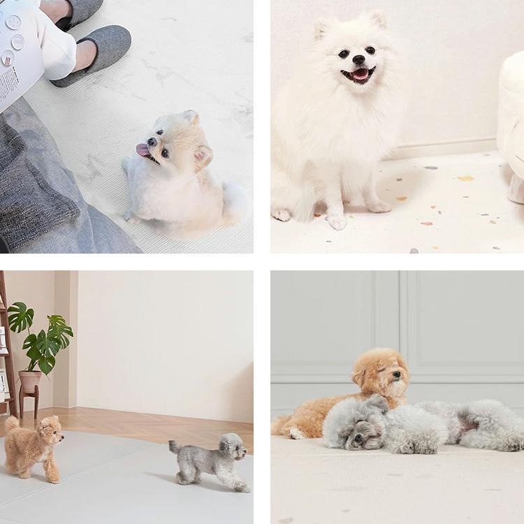 完全防水PVCペットマット 110×220cm ecf01 ドッグザリ・フラット 楽天市場】完全防水PVCペットマット 110×220cm 選べる2枚セット