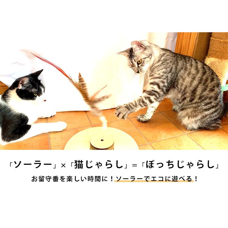 正規販売店 ぼっちじゃらし 猫じゃらし 超弾性ワイヤー使用 自動 電池