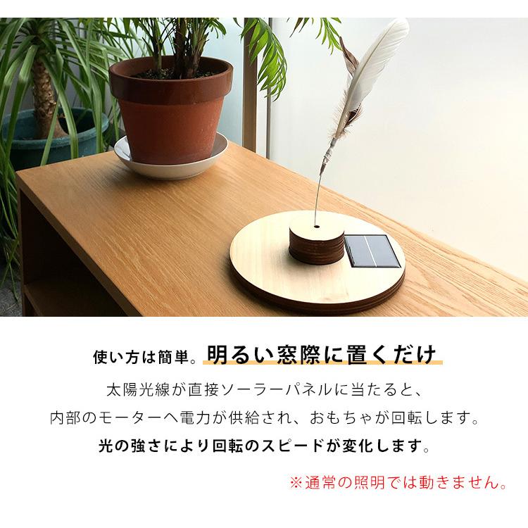 ポラ猫 ポラ猫 ポラ猫 (@POLUSneko) / Posts / X