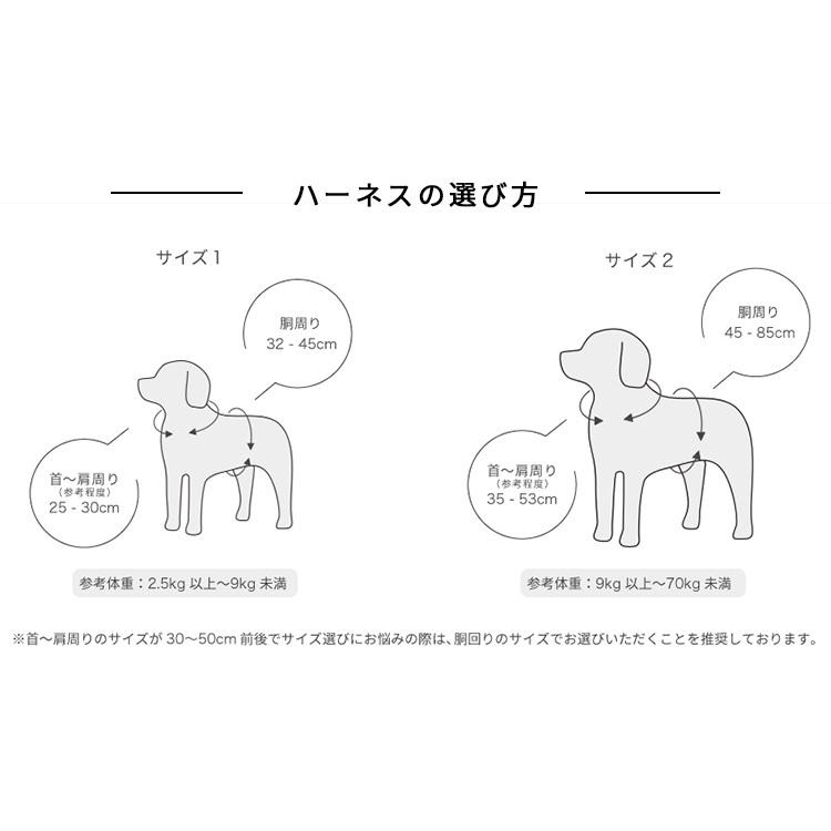 1000円OFFクーポン対象／正規品 イヌパシー本体・ハーネスセット