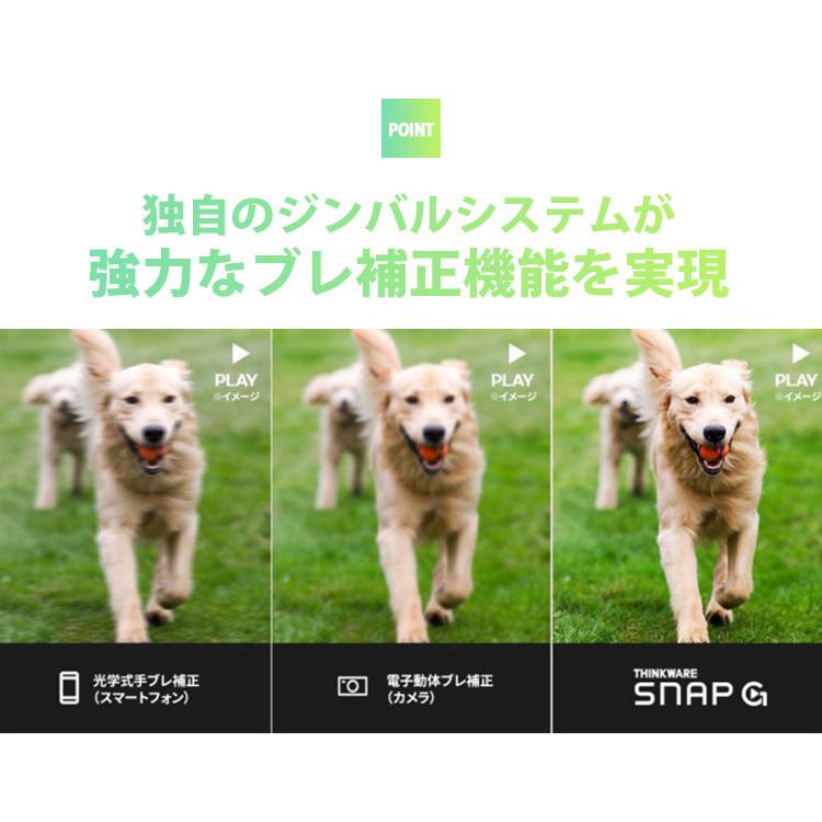 レトリバー Hilarious Dog Diarrhea Mishap - A True Story | TikTok