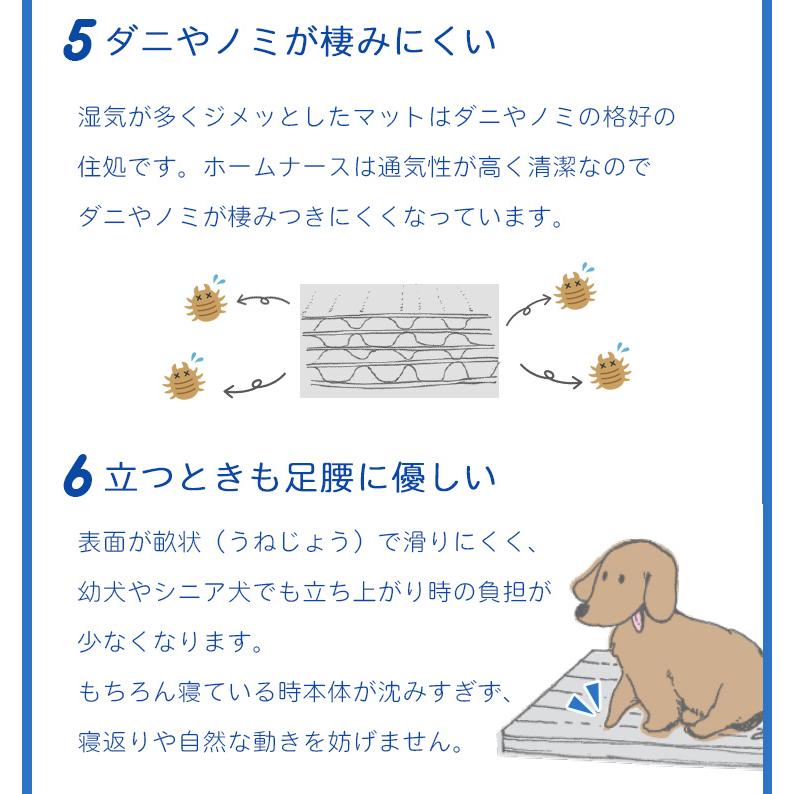 ペット介護用ケアマット 専用カバーセット ホームナースPET LL （120