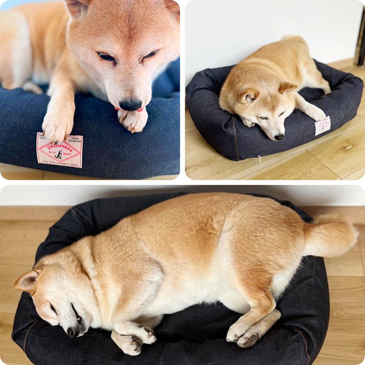 DeLoreans オーガニックコットン犬用ベッド デニム M 80×65cm
