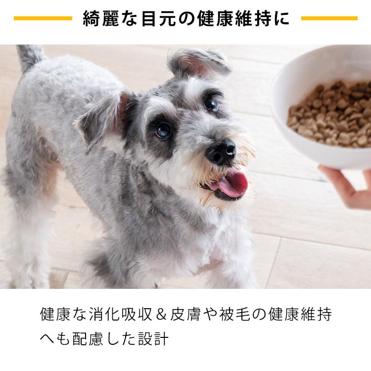 良質 プレミアムドッグフード VeRUS ウェイトマネジメント １