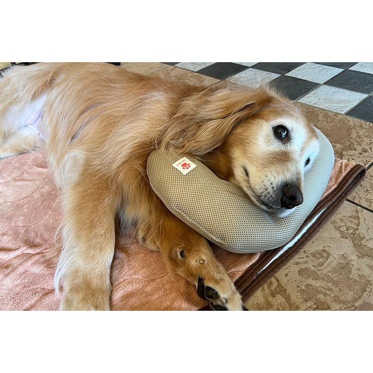 ペットの介護に最適 顎置きクッション レギュラーサイズ 犬用 猫