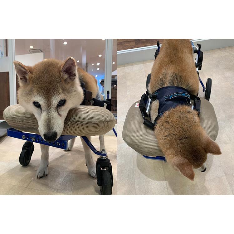 ペットの介護に最適 顎置きクッション レギュラーサイズ 犬用 猫用