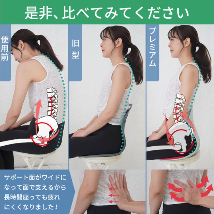 天使の椅子プレミアム DCT 骨盤サポートチェア 座椅子 : flaner