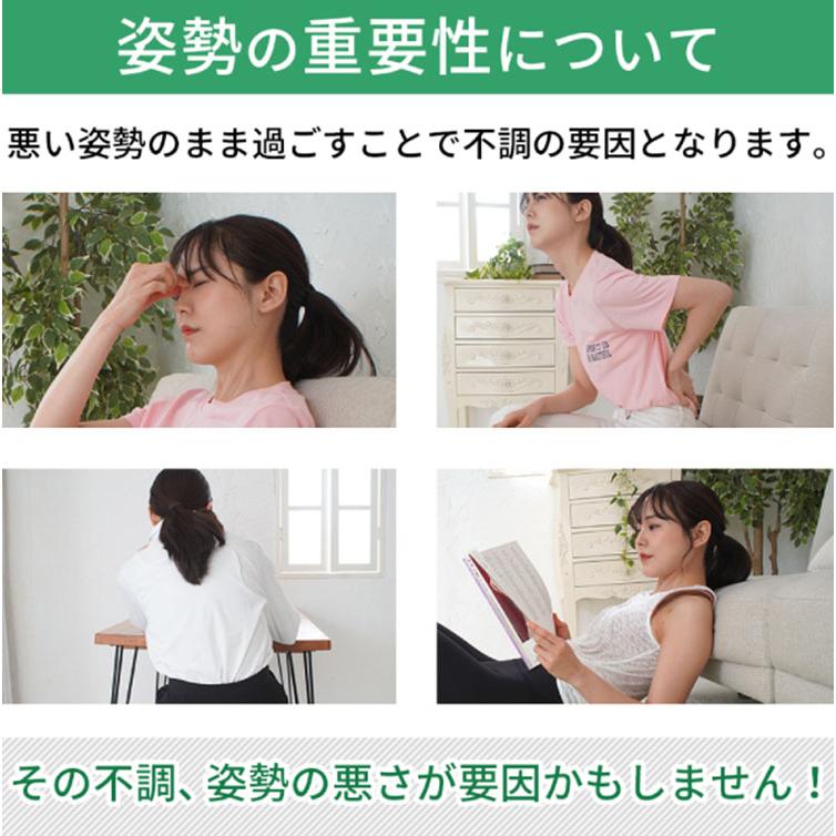 天使の椅子プレミアム DCT 骨盤サポートチェア 座椅子 : flaner 天使の椅子プレミアム DCT 骨盤サポートチェア 座椅子 : flaner