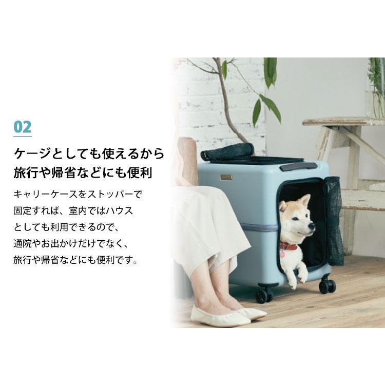 豪華特典付/ペットキャリー PETiCO iCO Lサイズ (小型犬2匹 豪華特典付/ペットキャリー PETiCO iCO Lサイズ (小型犬2匹