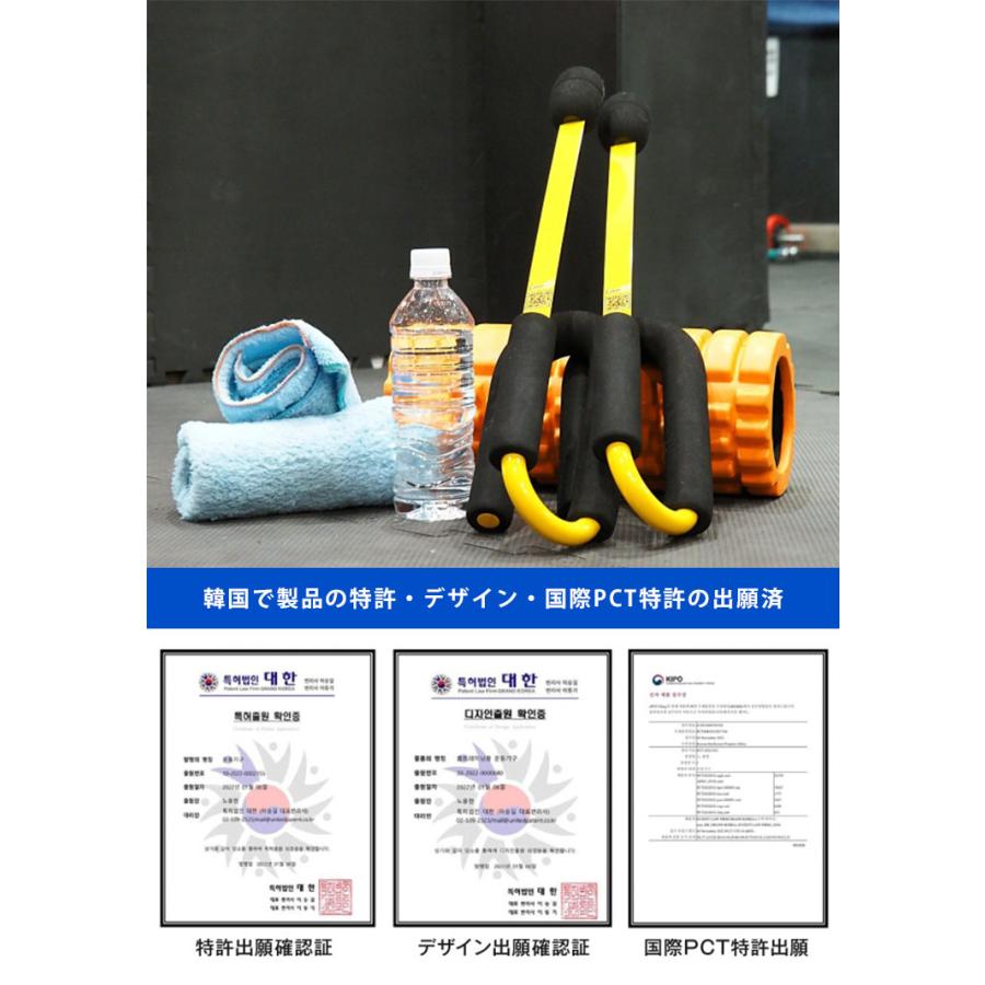 ZーRope ロープ不要のバトルロープ (ライト・プロ) 有酸素運動 ZーRope ロープ不要のバトルロープ (ライト・プロ) 有酸素運動