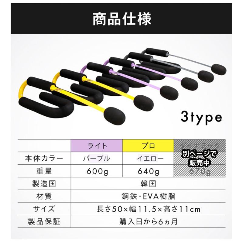 ZーRope ロープ不要のバトルロープ (ライト・プロ) 有酸素運動 ZーRope ロープ不要のバトルロープ (ライト・プロ) 有酸素運動