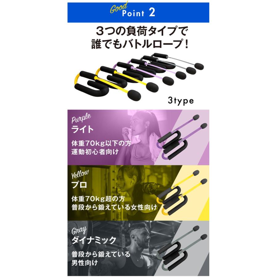 ZーRope ロープ不要のバトルロープ (ライト・プロ) 有酸素運動 ZーRope ロープ不要のバトルロープ (ライト・プロ) 有酸素運動