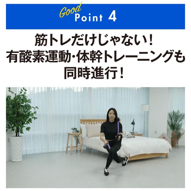 ZーRope ロープ不要のバトルロープ (ライト・プロ) 有酸素運動 ZーRope ロープ不要のバトルロープ (ライト・プロ) 有酸素運動