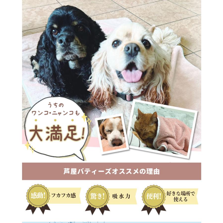 ホームナースpet 中・大型犬用