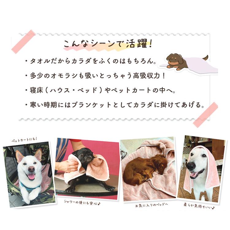 65%OFF【送料無料】 3WAYペットタオルセット ホームナースPET L （100×68cm/中型犬 その他