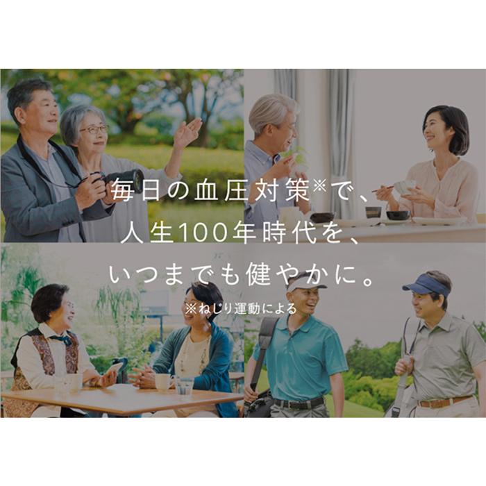 シックスパッド ヘルスグリップ SIXPAD Health Grip SE-BG-00A 血圧