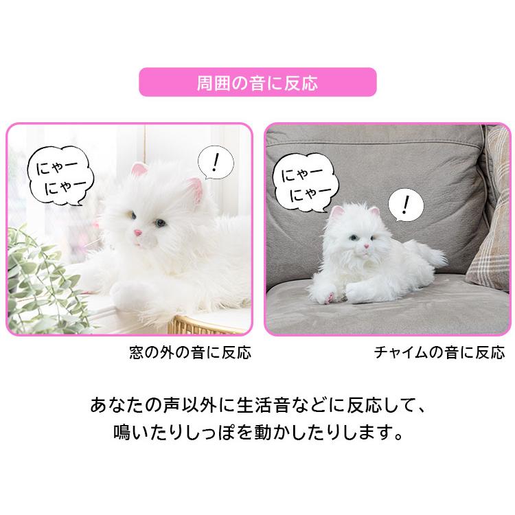 音符様2点おまとめ⚫️防火・火の用心2wayバッグ＋リアル猫ちゃん 音符様2点おまとめ⚫️防火・火の用心2wayバッグ＋リアル猫