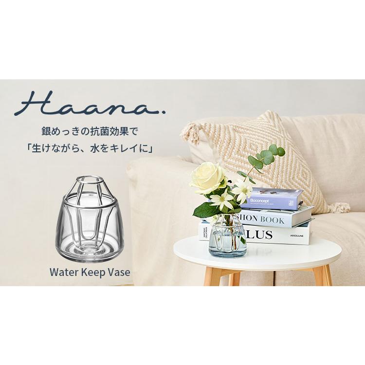 ハーナ ウォーターキープベース Haana Water Keep Vase HAS1850