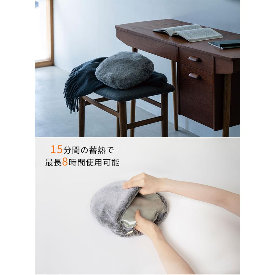 在庫限り商品☆送料無料 蓄熱式 エコ湯たんぽ ぬくぬく neko Like EWT