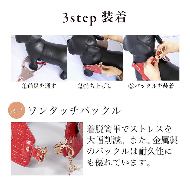 Now＆Fountain ボディーベルト Aタイプ （フレンチブルドッグ・ボストンテリア等） ナチュラルスキン BAN001_12