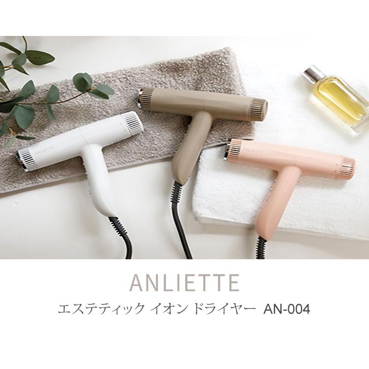 ANLIETTE アンリエッテ エステティックイオン ドライヤー AN-004