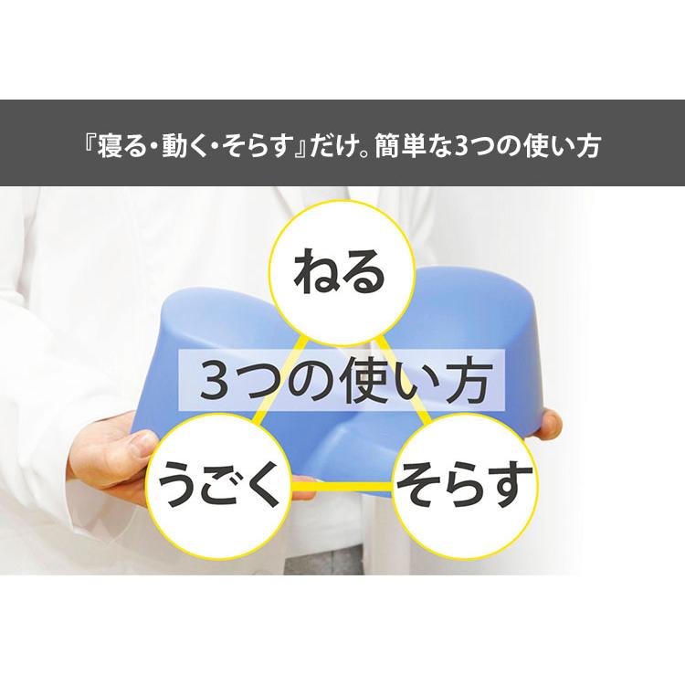 セットぺルビス ポリウレタン製 本格腰ケア setpelvis : flaner - 通販