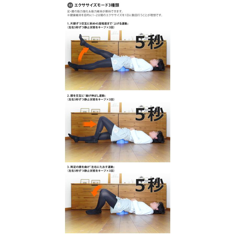 セットぺルビス ポリウレタン製 本格腰ケア setpelvis : flaner - 通販