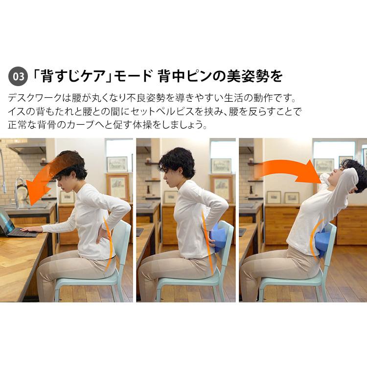 セットぺルビス ポリウレタン製 本格腰ケア setpelvis : flaner - 通販