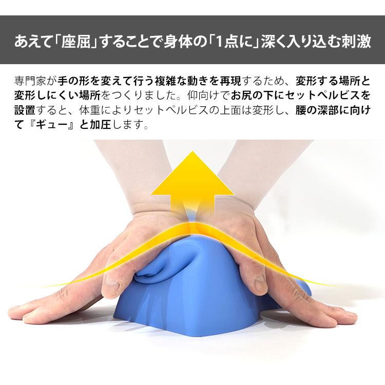 セットぺルビス ポリウレタン製 本格腰ケア setpelvis : flaner - 通販