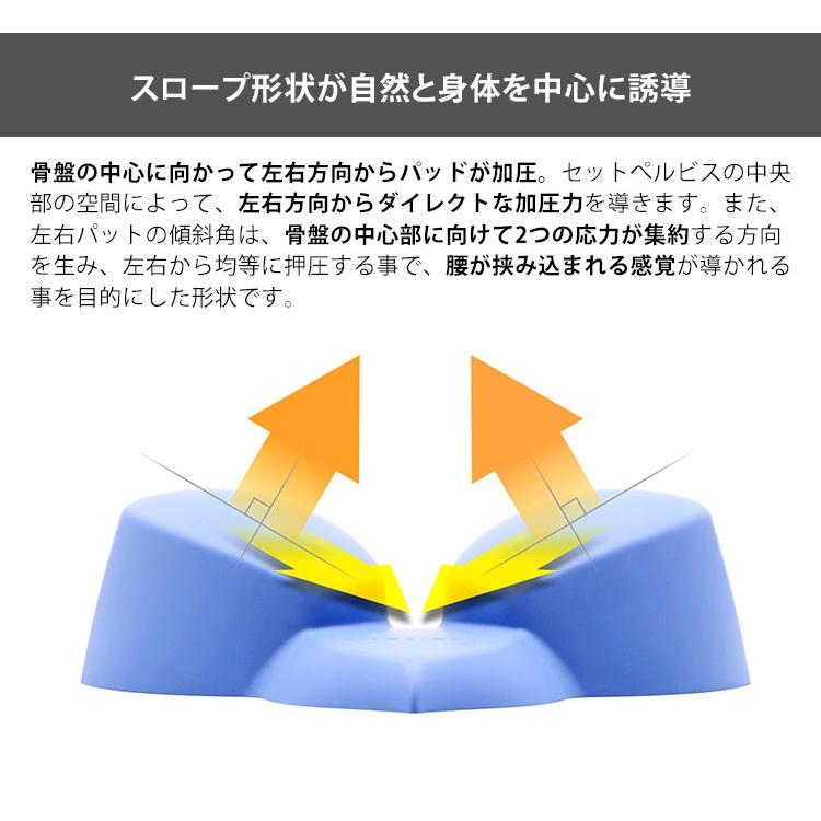 セットぺルビス ポリウレタン製 本格腰ケア setpelvis : flaner - 通販