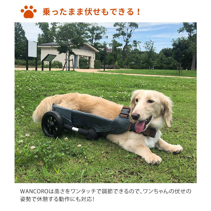 犬用 車椅子 Amazon.co.jp: MIKEART 犬用車椅子 歩行器 車いす 後ろ足 2輪