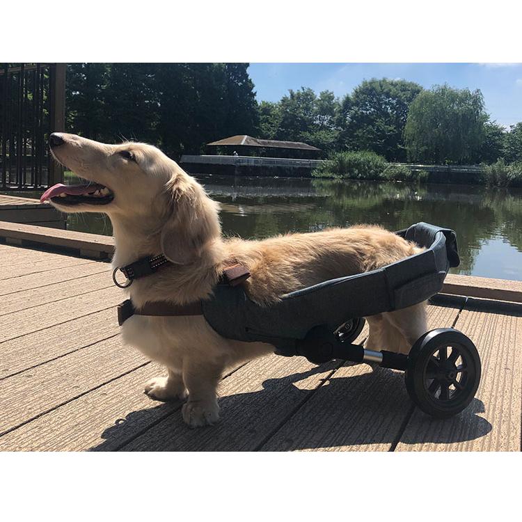 犬用車いす WANCORO 3点セット レギュラー ロング 本体 縫製品
