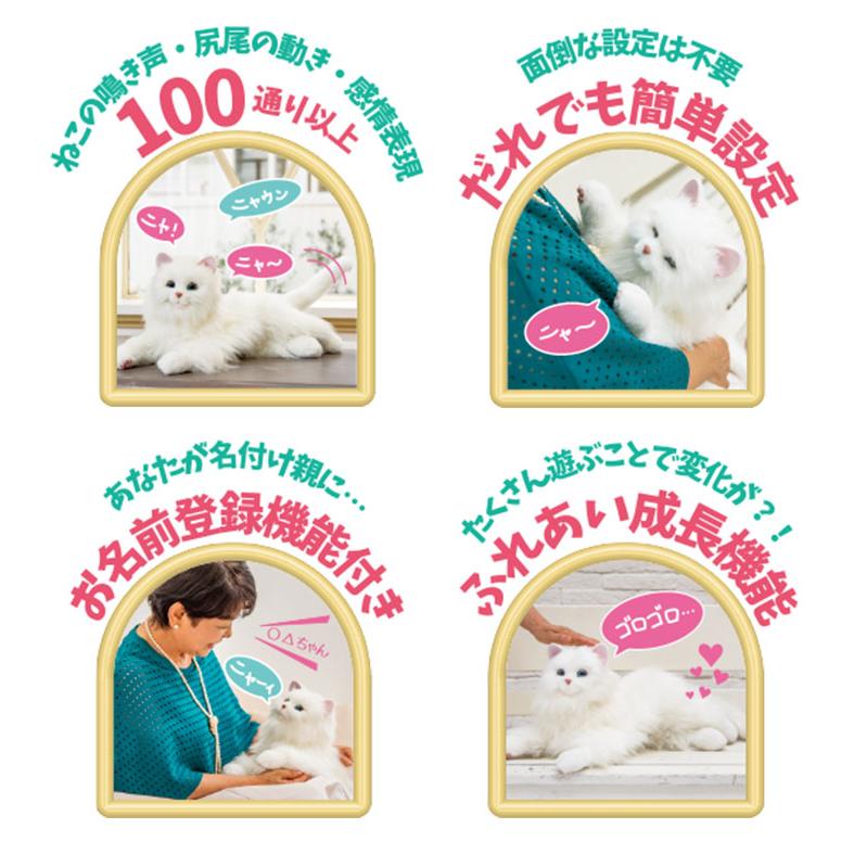 しっぽふりふり あまえんぼうねこちゃん 猫 ネコ ロボット : flaner