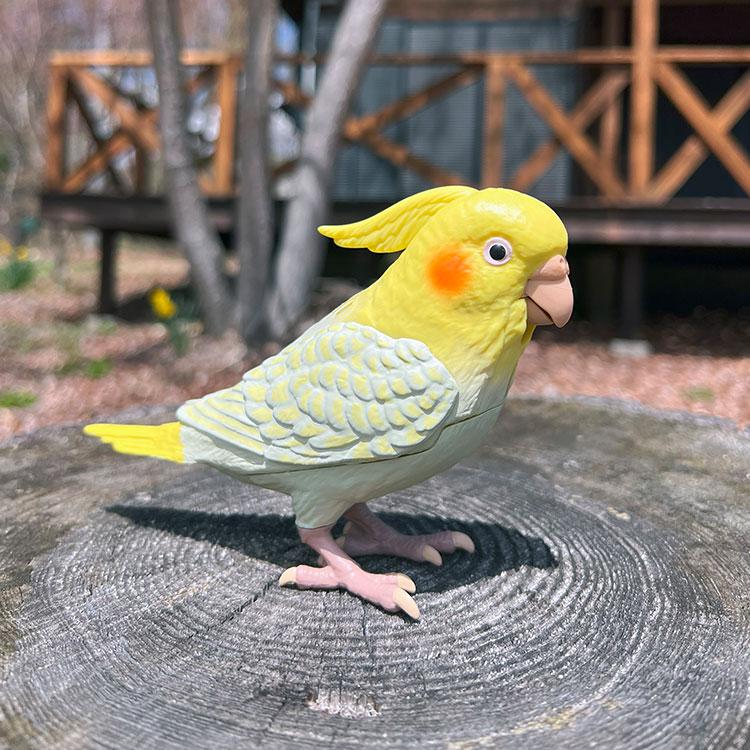 タカラトミーアーツ もっとおしゃべり天才オカメインコちゃん /おまけ